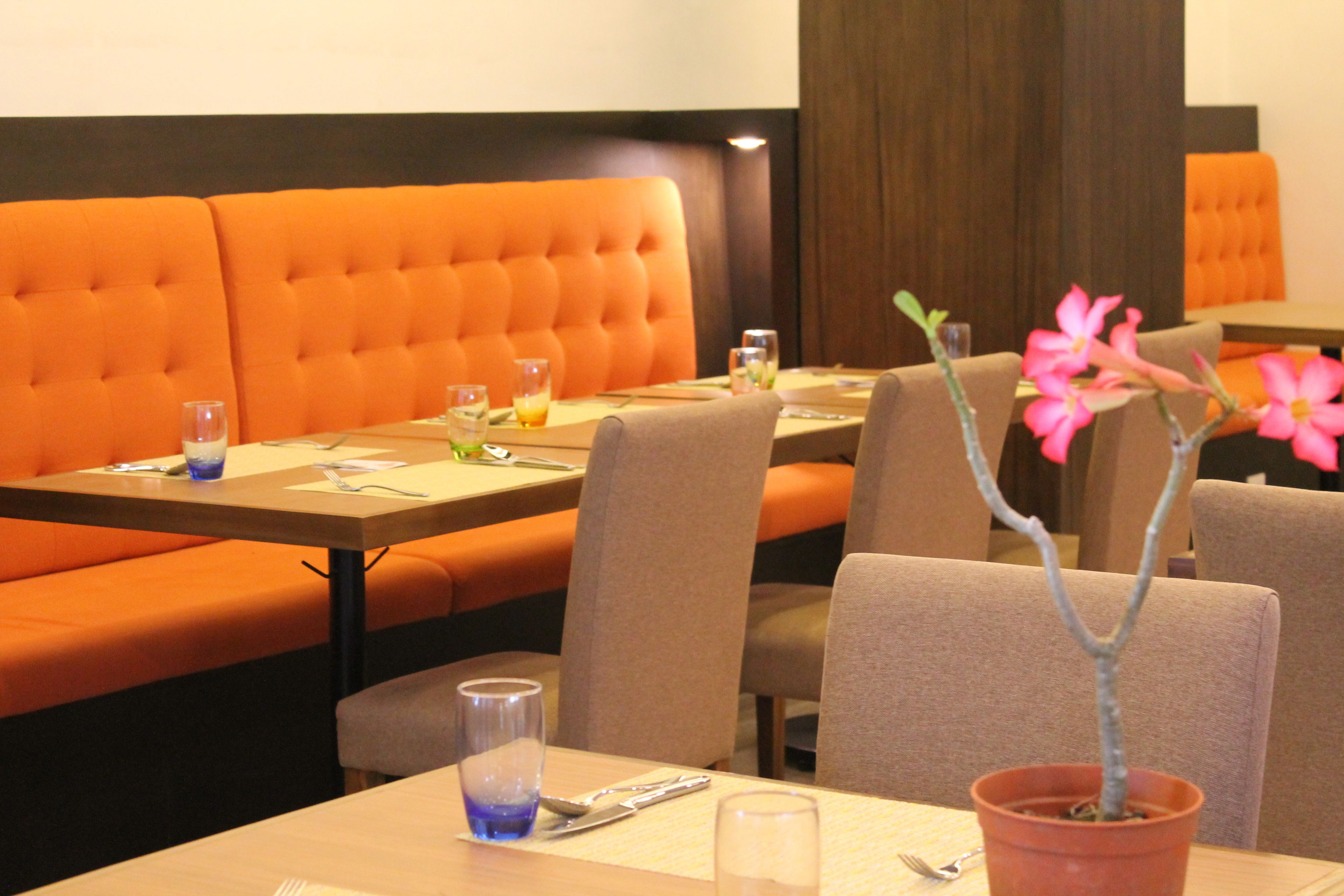 Un restaurante con asientos tapizados en naranja y una mesa con planta en maceta y vasos de vidrio azul.