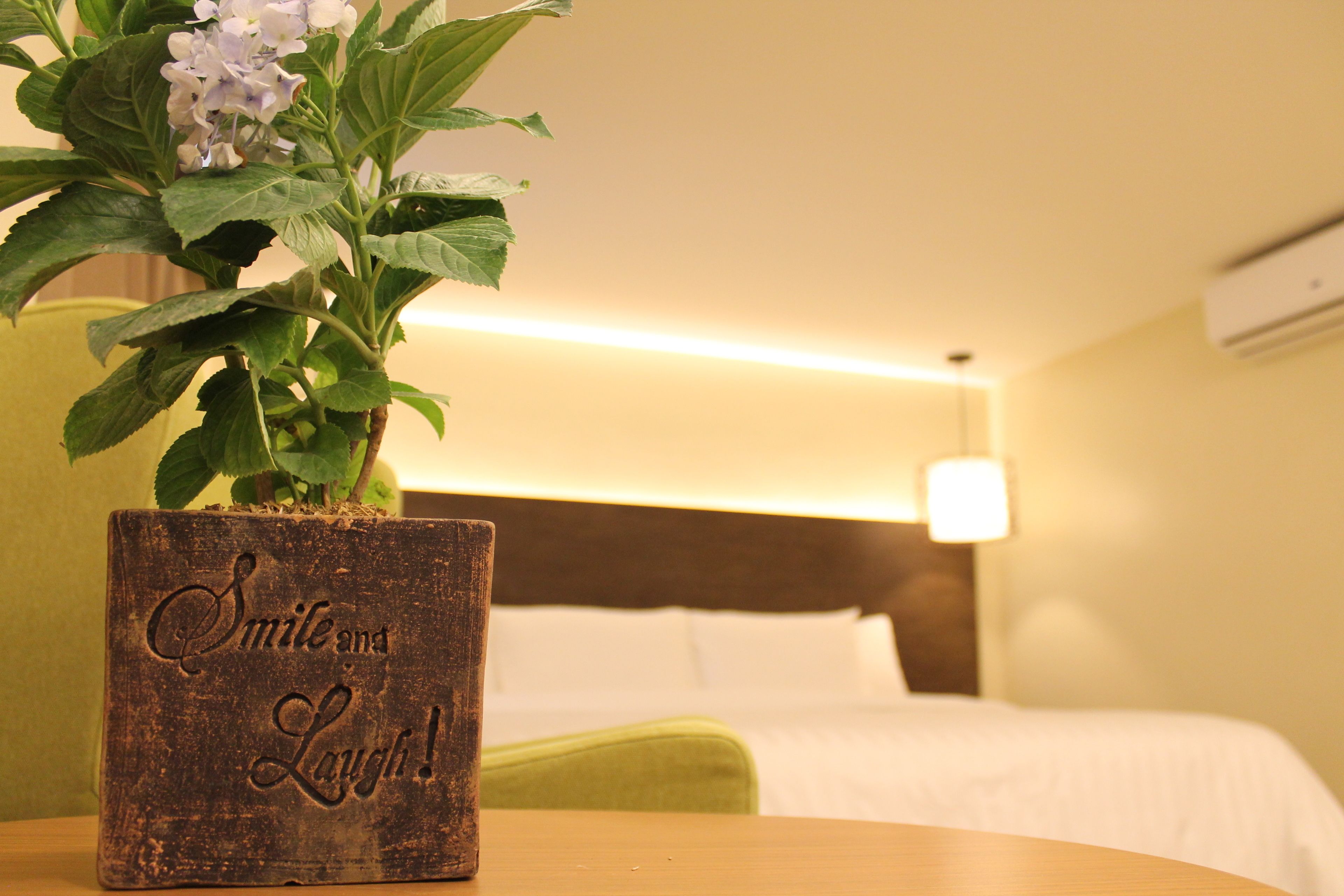 A wooden planter with a plant and the words "Smile and Laugh!" in a hotel room with a bed and a nightstand.