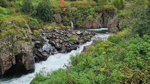 A river flowing through a rocky landscape with dense vegetation and a mountain in the background. - Hotel Austur (Fjardabyggd)
