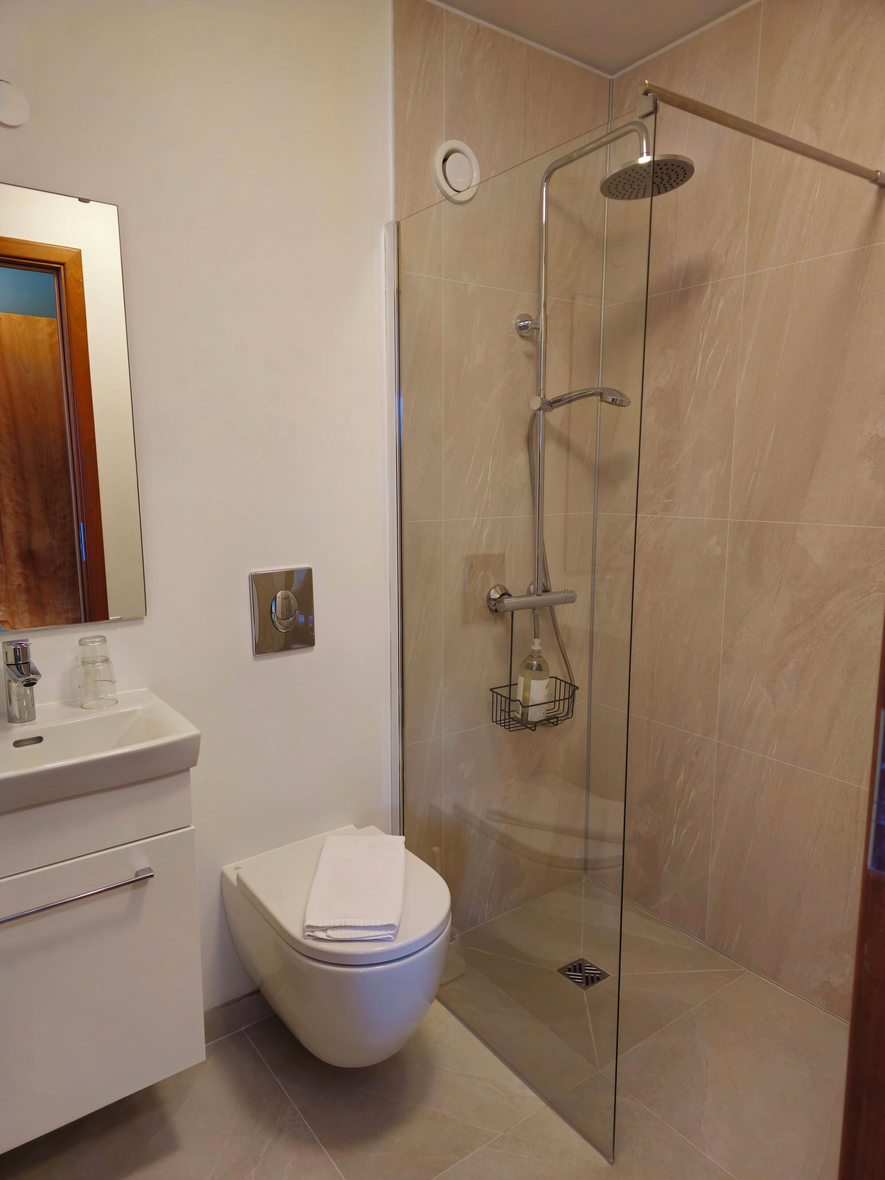 Single Room | Bathroom | Shower, hair dryer, towels
