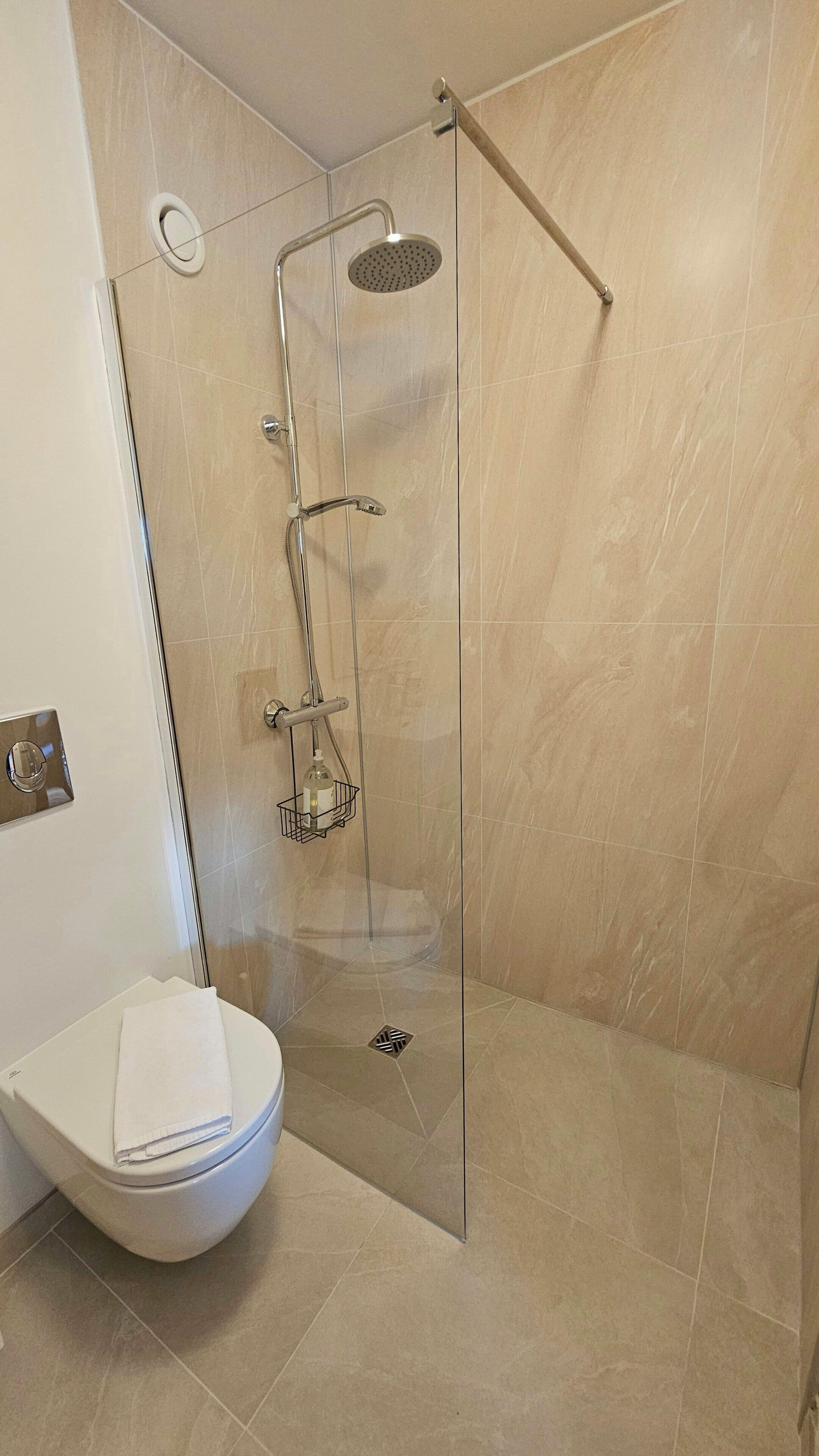 Shower, hair dryer, towels