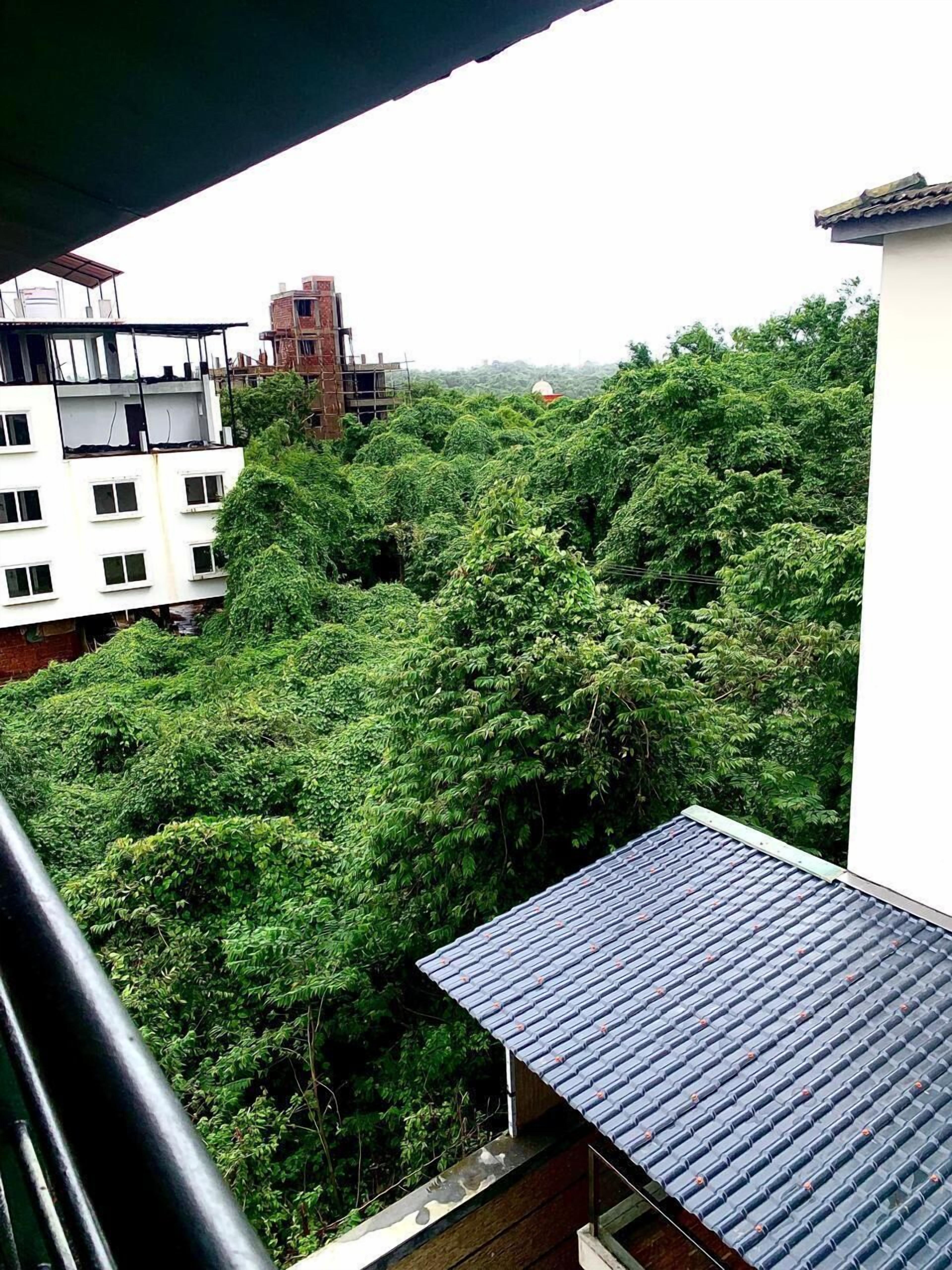 Zona residencial con abundante vegetación y edificios al fondo.