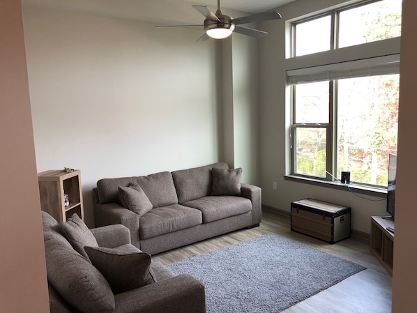 Un salon avec un canapé gris, un meuble en bois, un tapis gris et un ventilateur de plafond.