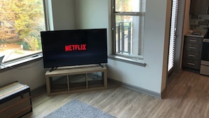 Un salon moderne avec un téléviseur à écran plat posé sur un meuble en bois, de grandes fenêtres équipées de stores, un coin cuisine avec des meubles sombres et un tapis gris sur le sol.