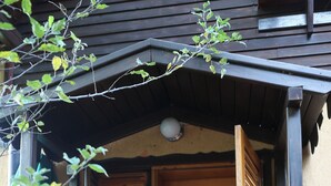 A wooden entrance with a sliding door, a small wooden porch with a bench, and a green plant in the foreground. - Chalet Milenium Residence Bran (Bran)