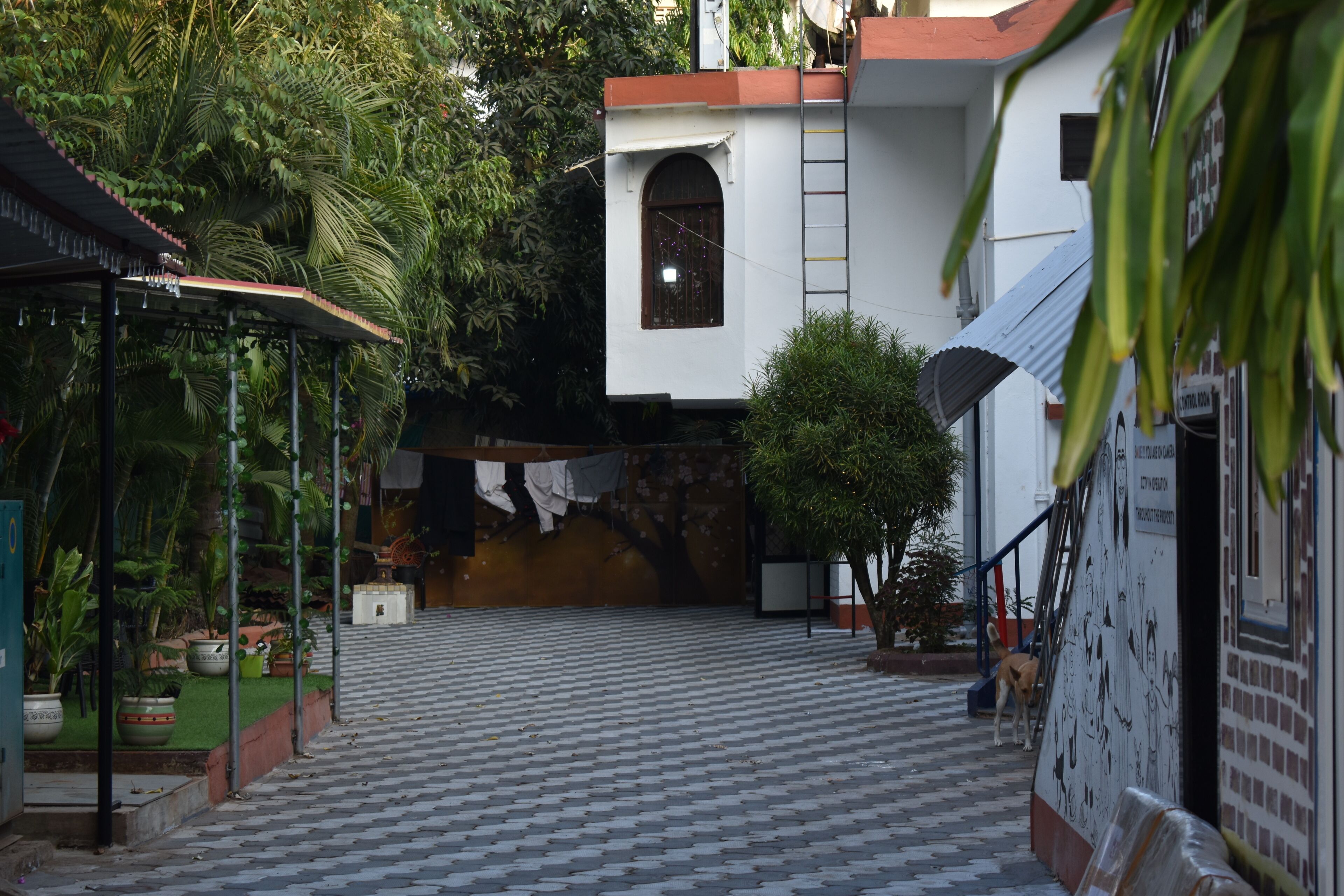 A courtyard with a tiled floor, a covered seating area, and a building with a window and a ladder.