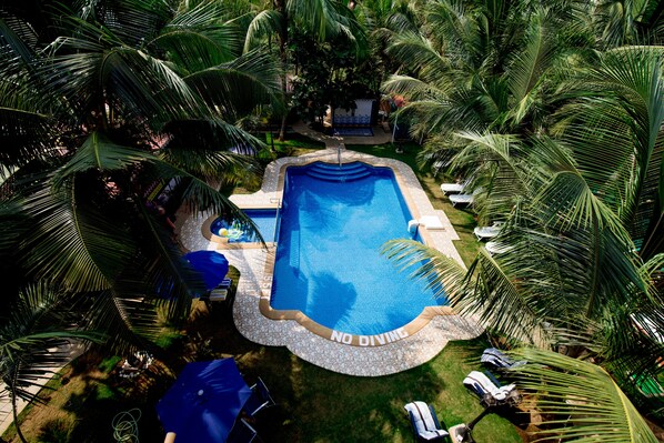 Vista aérea de una piscina rodeada de palmeras y sillones de descanso.
