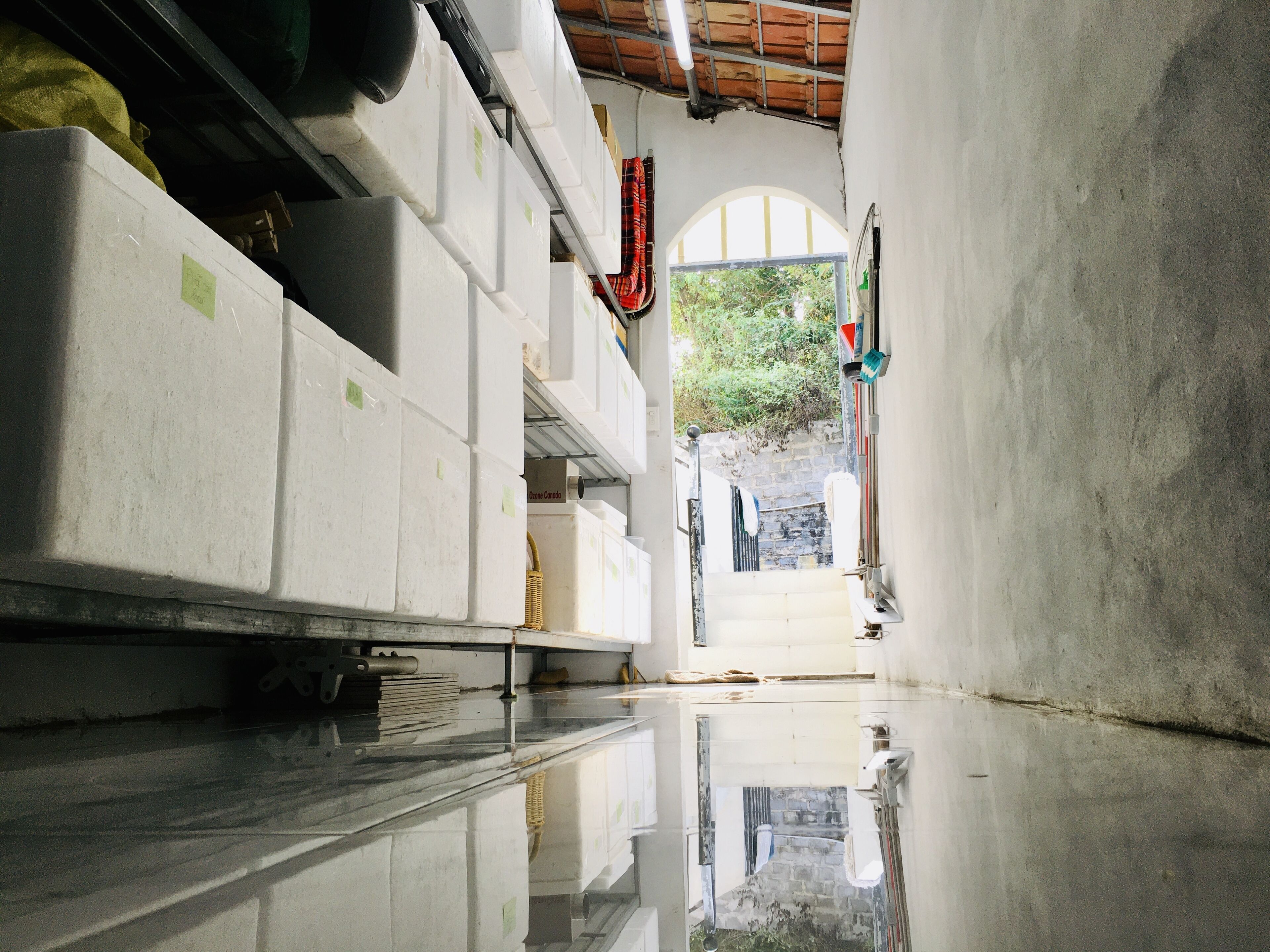 fridge, microwave, electric kettle