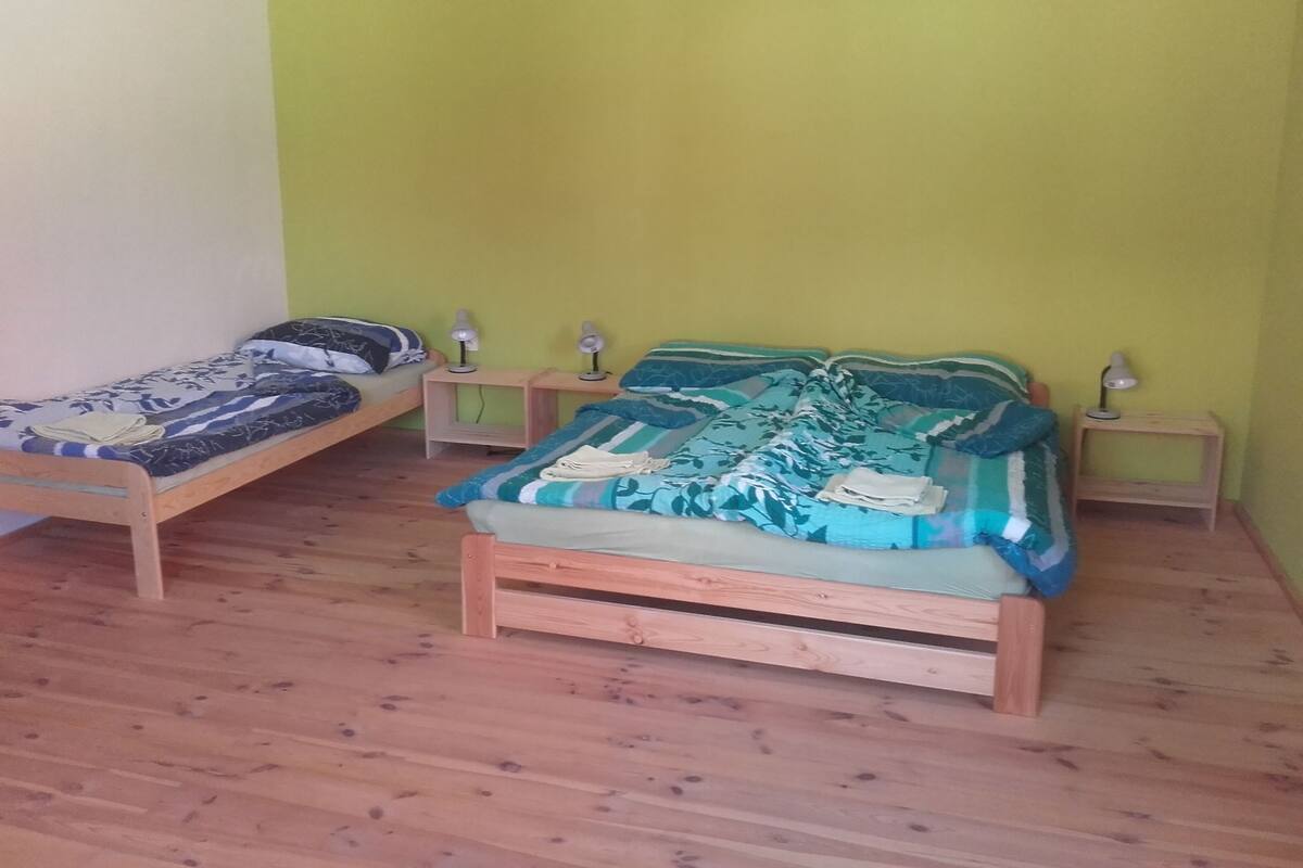 Two wooden beds with headboards, each with a nightstand and a table lamp. The room has a wooden floor and green walls.