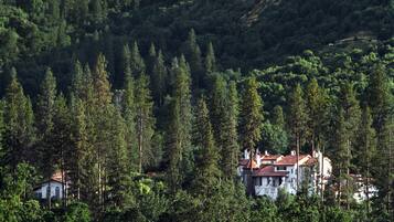Una casa rodeada de un bosque frondoso.