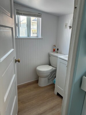 Shower, hair dryer, toilet paper