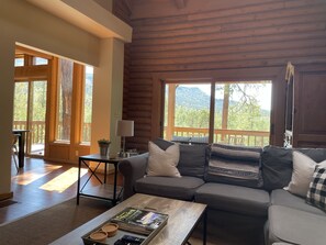 TV, caminetto, lettore DVD, libri