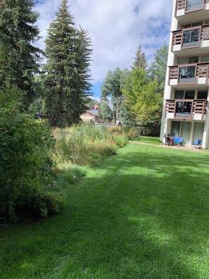 Property grounds - Perfect Location - Steps to Gondola Walking/Bike Path Close to Restaurants Shops (Vail)