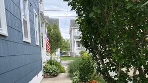 Una calle residencial con acera, casas y una fila de plantas con flores.