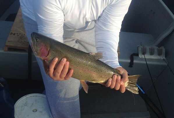 A person holding a fish.