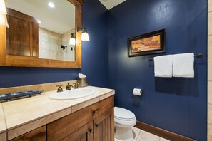 Combined shower/bathtub, jetted bath, hair dryer, towels