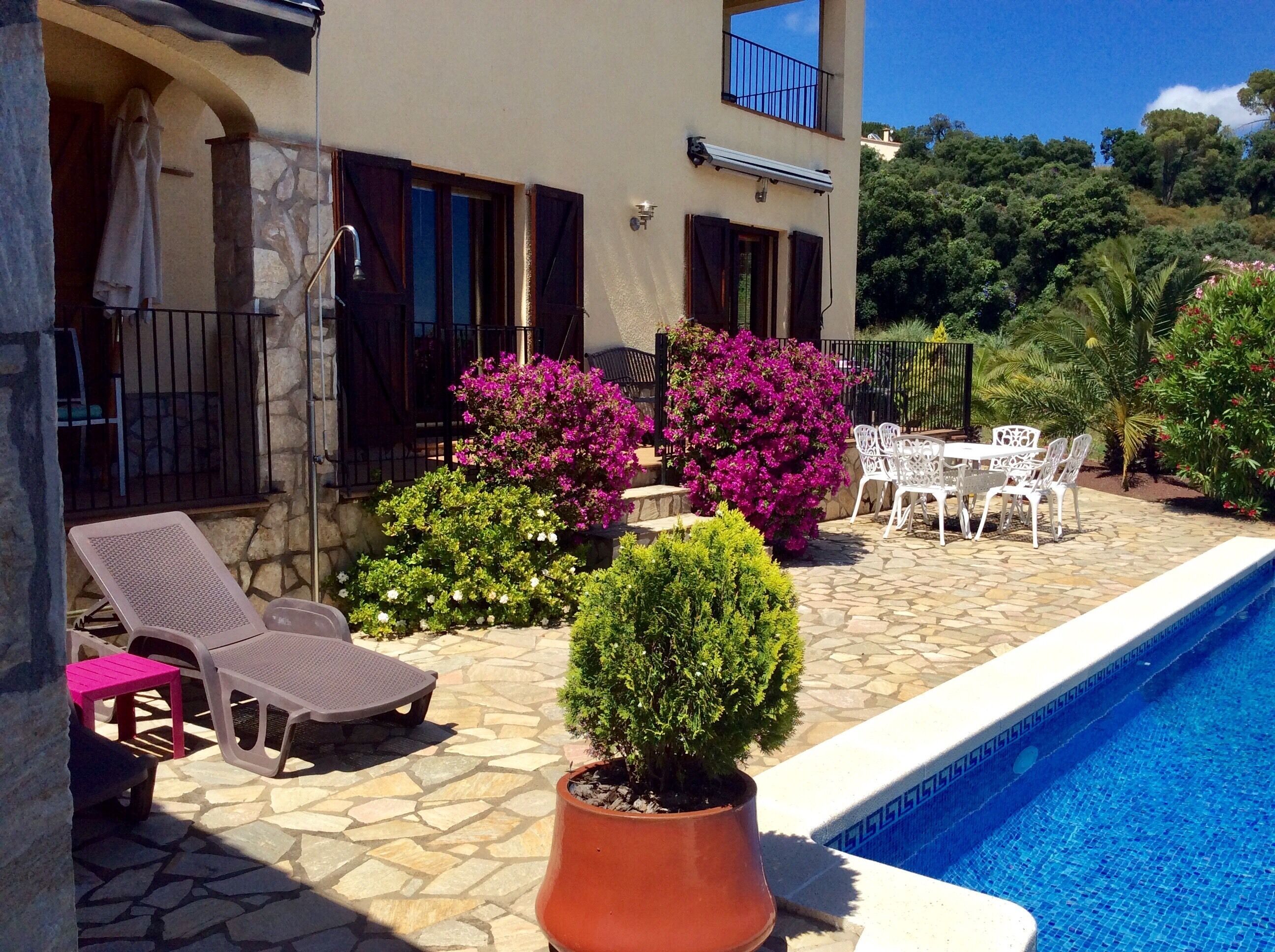 A poolside area with lounge chairs, a table, and a potted plant.