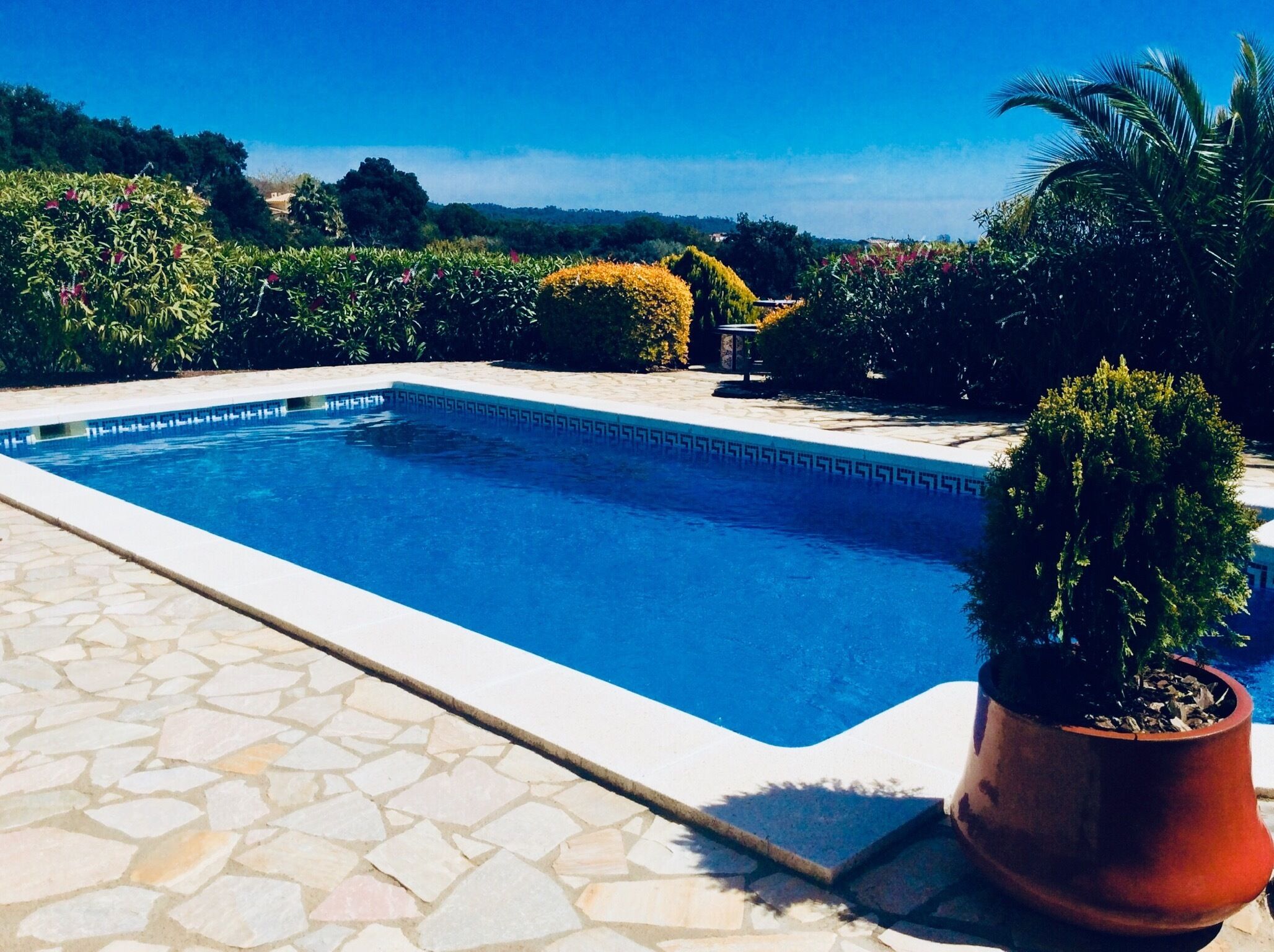 Utendørsbasseng og solsenger