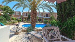 A poolside area with a palm tree, a chair, and a building with a tiled roof in the background. - Holiday villa with swimming pool near the Paphos coast (Paphos)