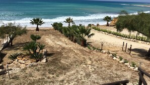 Una spiaggia con palme, un sentiero sabbioso e l'oceano sullo sfondo.