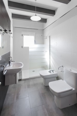 Shower, hair dryer, bidet, towels