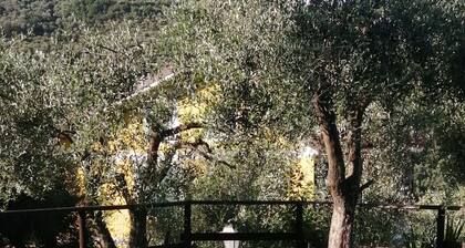 MAISON EN PIERRE INDEPENDANT 12 KM MER PISCINE BARBECUE