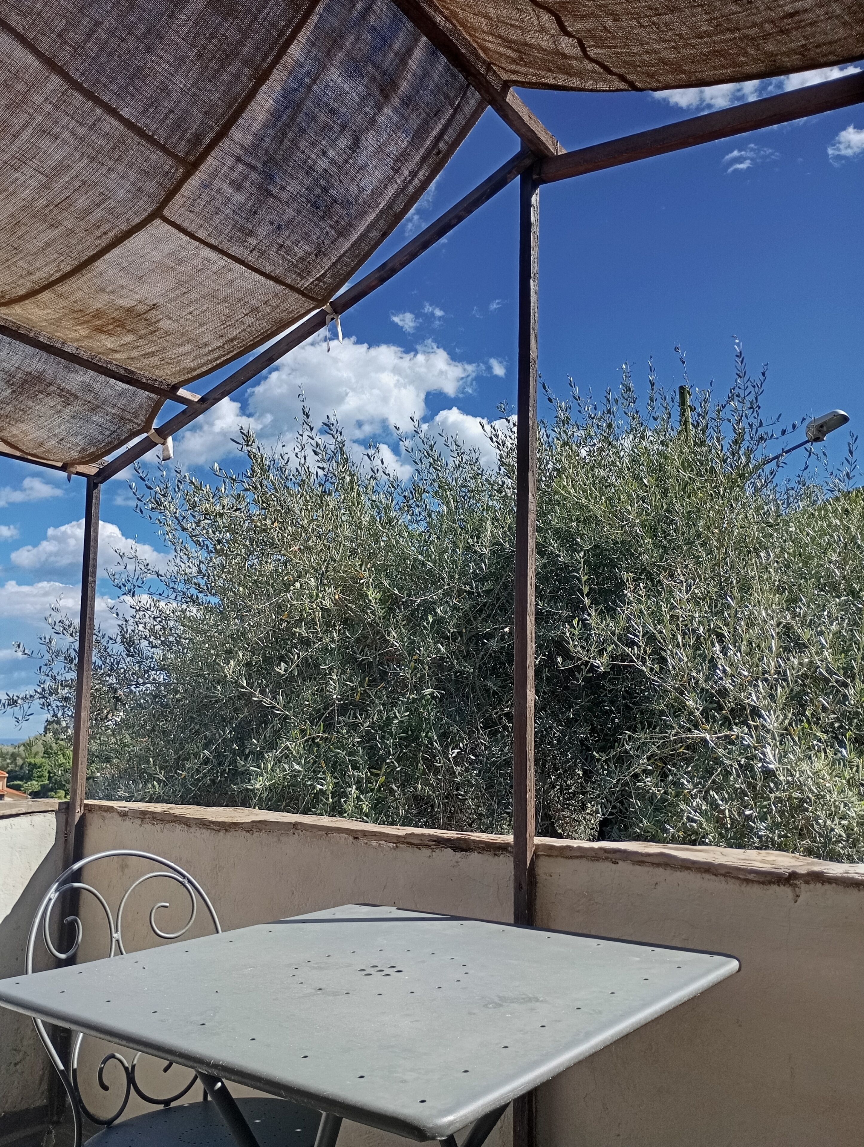 A covered outdoor seating area with a metal table and chairs, surrounded by dense foliage and a clear blue sky.