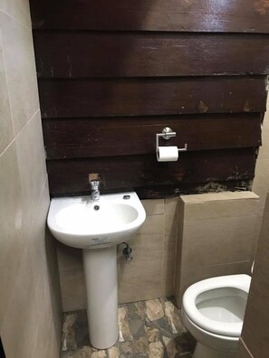 Shower, bidet, towels, soap