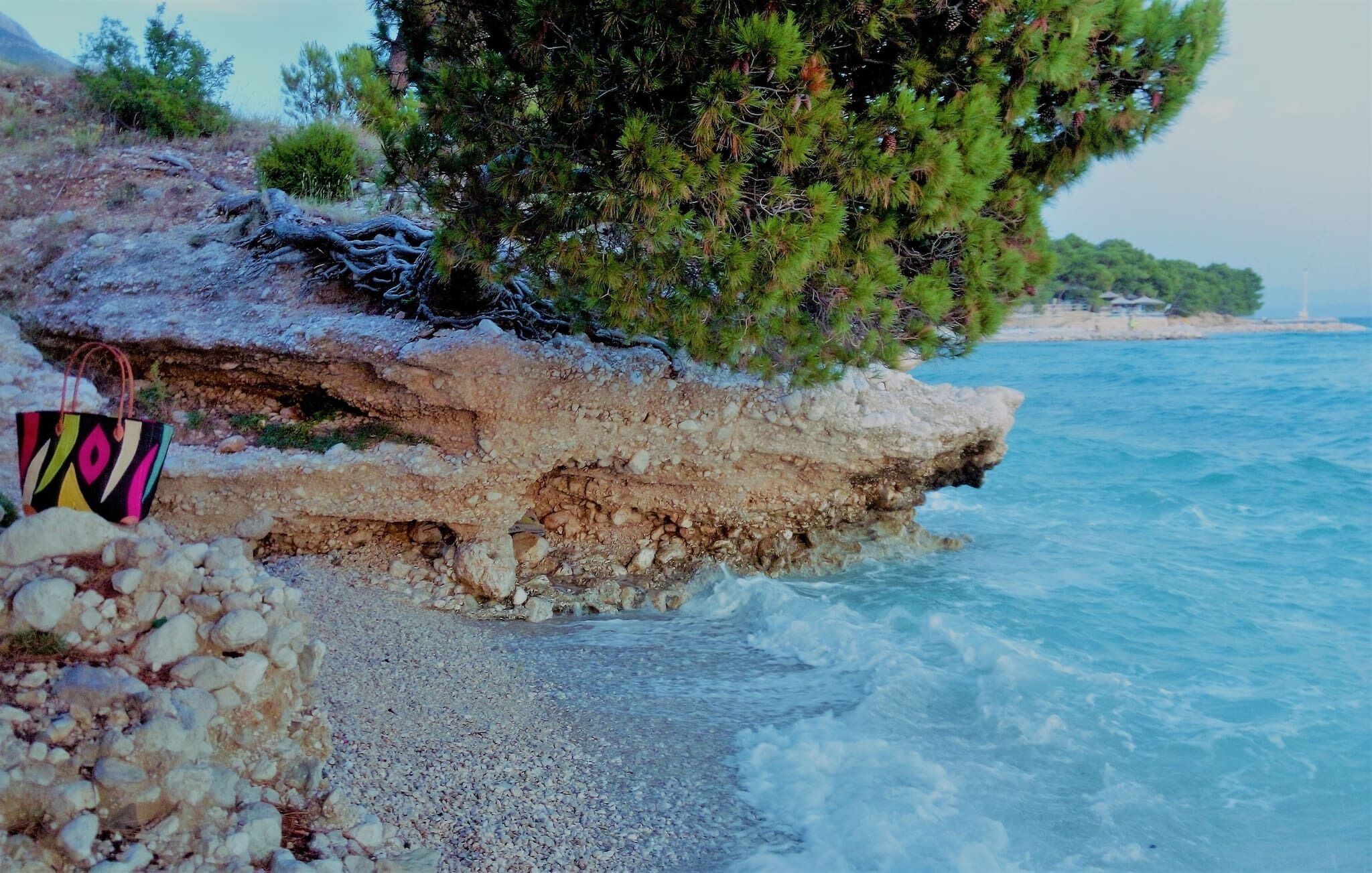 A rocky shoreline with a pebble beach, a colorful bag, and a pine tree.