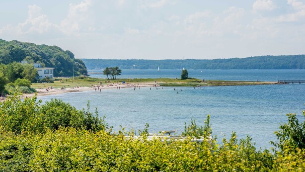 A lakeside view with a beach, trees, and a distant hill. - Exclusive apartment with water view - Apartment Meierwik (Glücksburg (Ostsee))