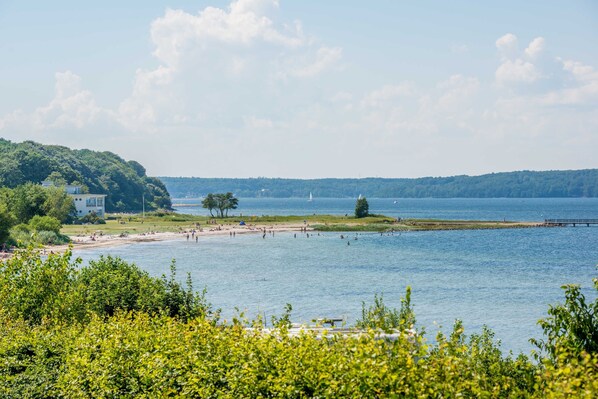 A lakeside view with a beach, trees, and a distant hill.