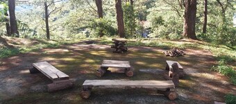 Whea Transient Houzz