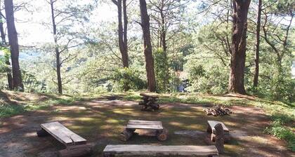 Whea Transient Houzz