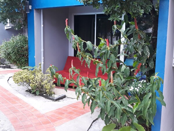 Un edificio con un área de estar exterior roja, un muro azul en el exterior y diversas plantas y arbustos.
