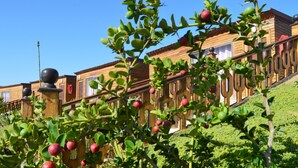 Una hilera de casas de madera con jardín delantero.