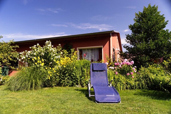 Unclassified image, 1 of 9, button