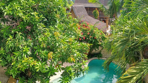 A pool surrounded by lush greenery and a traditional building with a tiled roof. - Soraya Yoga Wellness Center (Gili Trawangan)