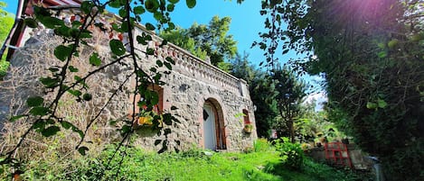 Exteriör