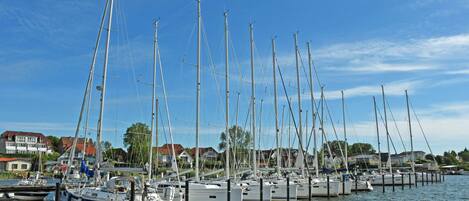 A marina with multiple sailboats docked.