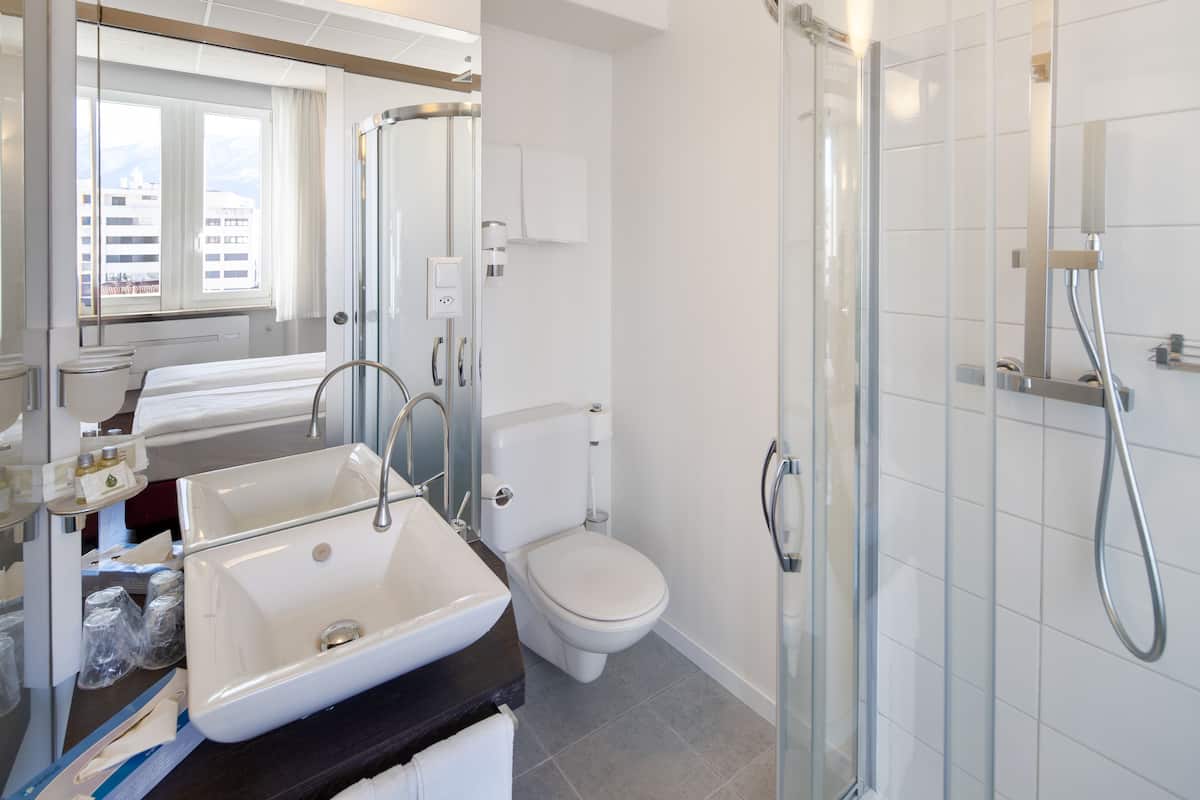 economy double or twin room | bathroom | shower, free toiletries, hair dryer, towels