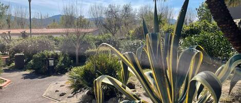 Overnattingsstedets uteområder