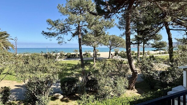 Blick auf einen angelegten Garten mit Bäumen und einem Weg zum Strand.
