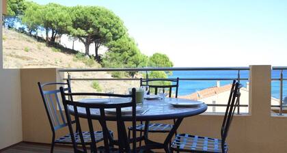 Modern 2-bedroom apartment with terrace, parking and air conditioning in Banyuls-sur-Mer