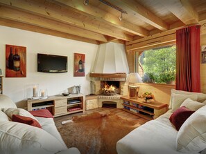 TV, fireplace, video-game console, DVD player