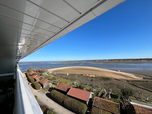 On the beach - Arcachon - Cozy T2 by the beach with private parking (Arcachon)