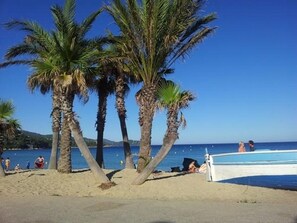 Ein Strand mit Palmen und blauem Himmel.