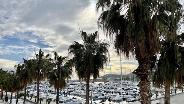 Un puerto deportivo con numerosas embarcaciones amarradas, palmeras a lo largo de la zona, y un bar llamado 'ABALounge Bar' visible al frente.