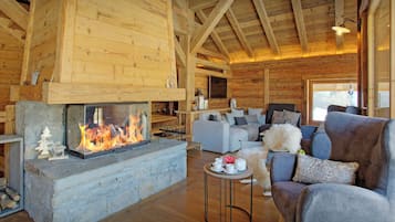 TV, fireplace, video games, DVD player