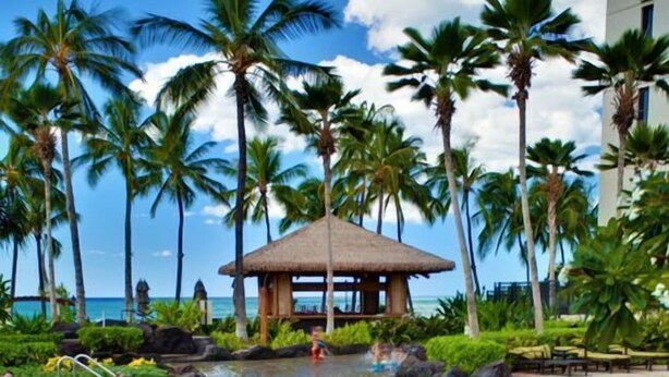 A pool area with palm trees, a gazebo, and a view of the ocean.