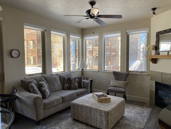 Smart TV, fireplace, DVD player, books